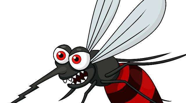 蚊子为什么吸血（蚊子吸血的原因）
