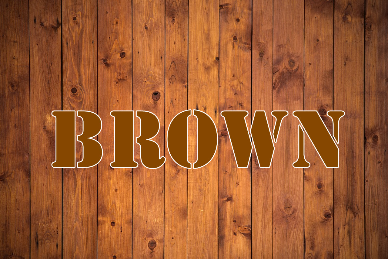 自学英语 每日一词：brown