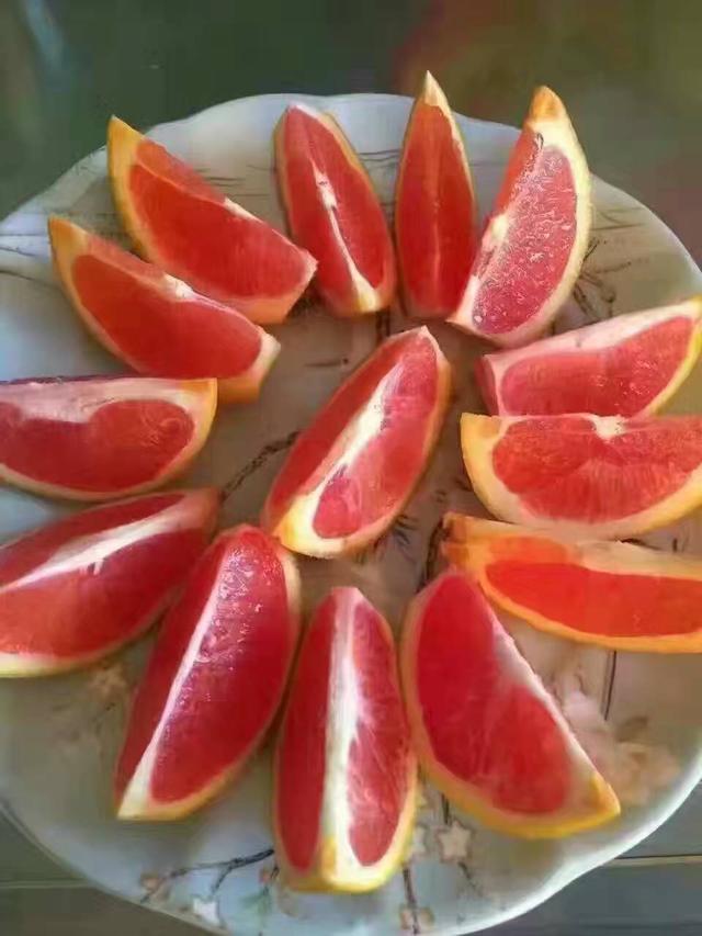 血橙真假图片