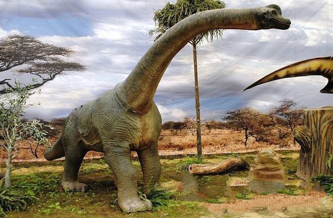 最大的恐龙是什么
