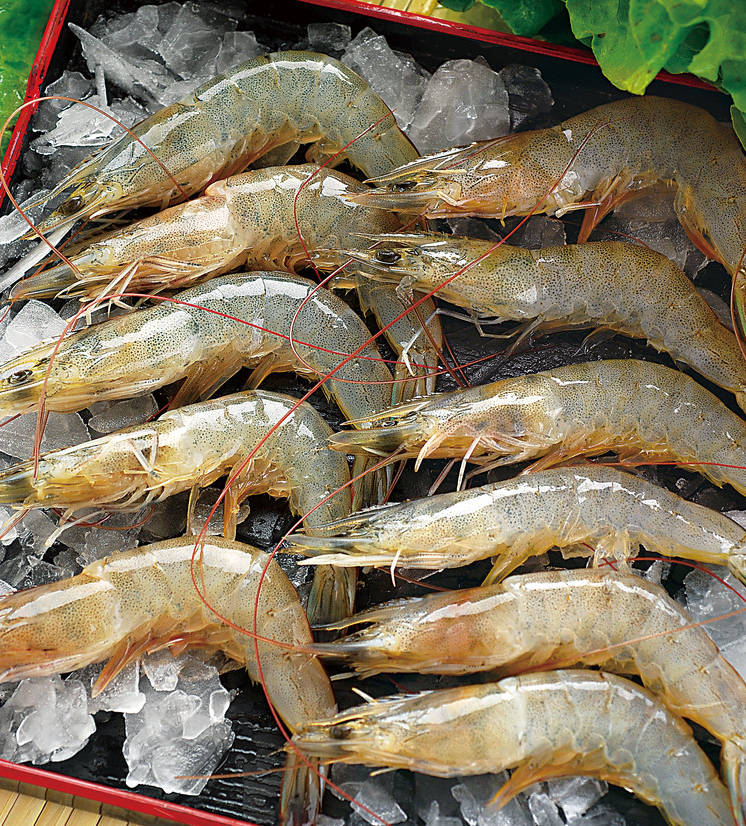 青虾和红虾都有哪些区别，营养价值哪个高？