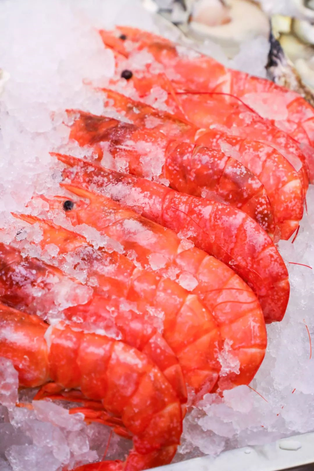 青虾和红虾都有哪些区别，营养价值哪个高？