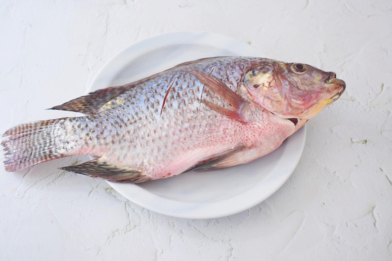 罗非鱼这样做，好吃还不腻，比红烧好吃，味道鲜美，老少皆宜