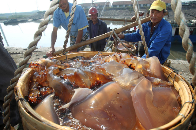 新鲜的海蜇可以这样吃，是渔家人餐桌上的解暑美食