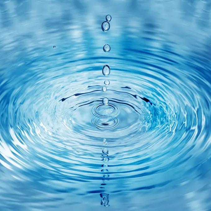 水是我们的生命之源，那么我们为什么要喝水呢？