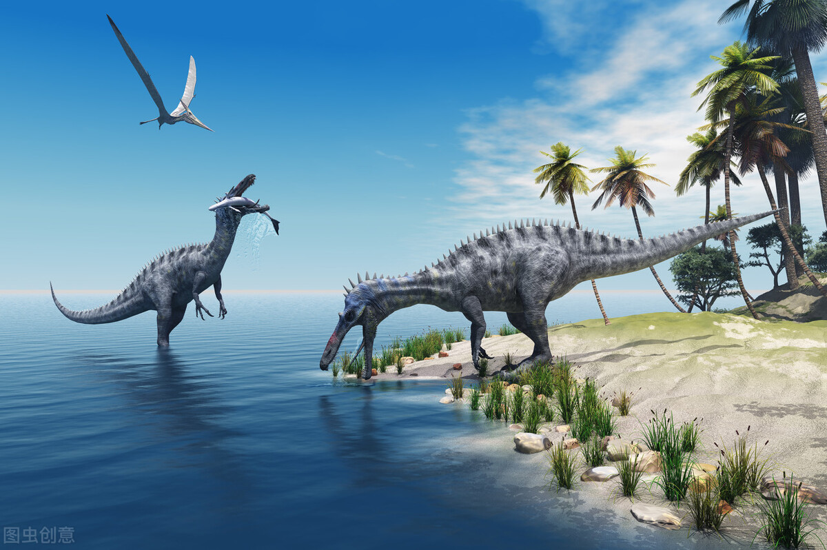 #古生物#化石#地球科学# 什么是恐龙？