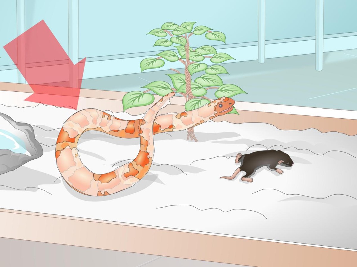 蛇在冬眠时“任鼠宰割”，毫无还手余地？那蛇为什么一定要冬眠？
