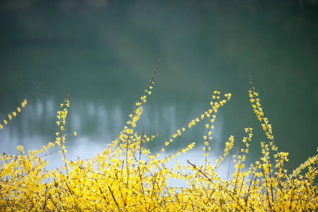 10首最美春风诗词，秀丽江山，田园如画，送你一场春暖花开
