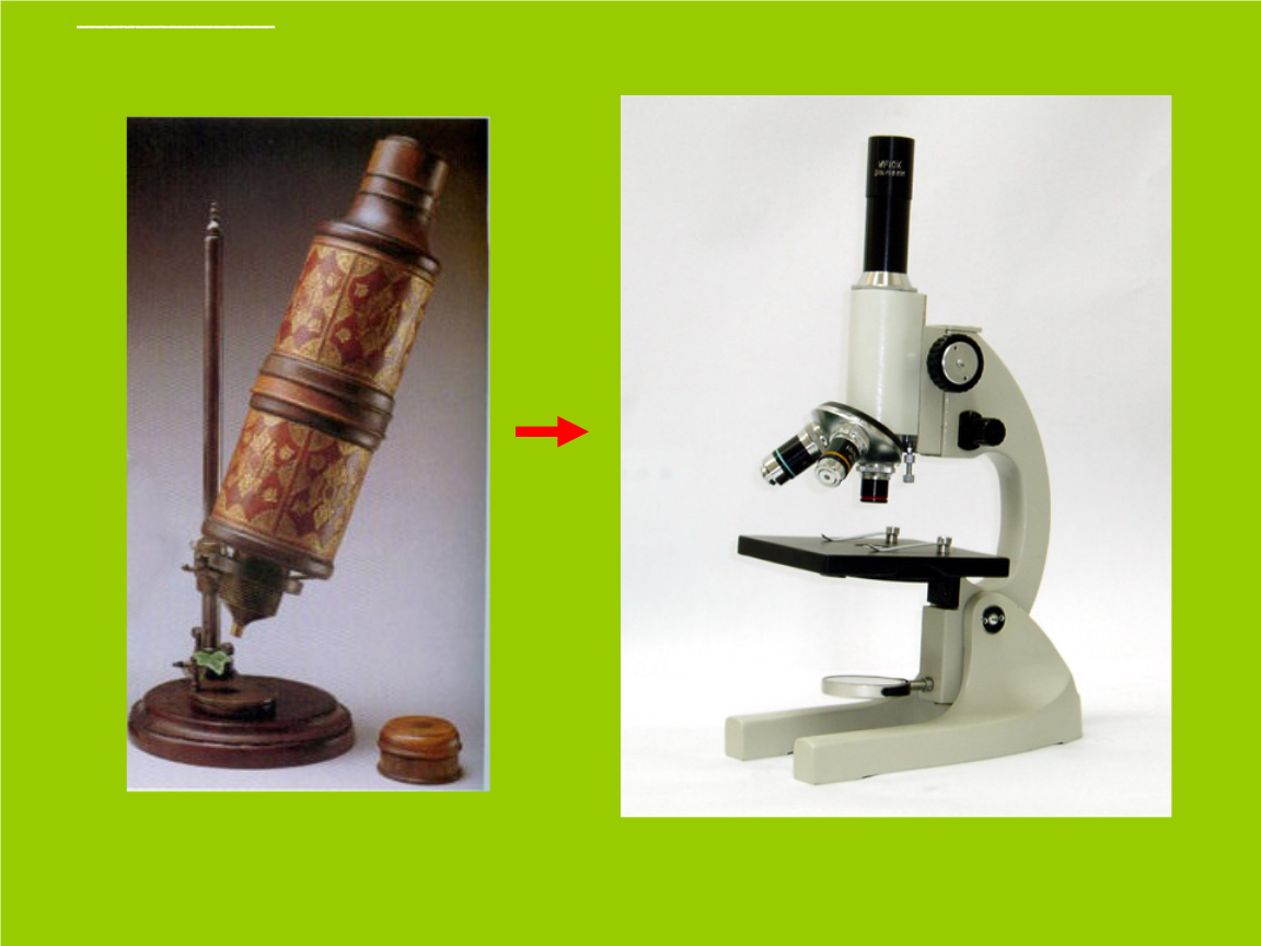 最早的显微镜是谁发明地 世界上最早的显微镜