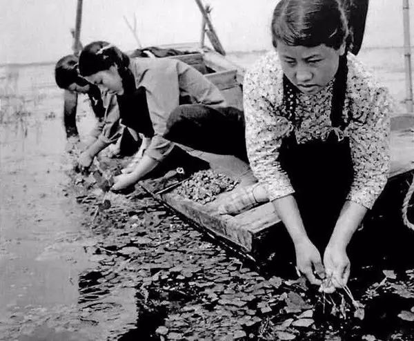 50年代的珍贵记忆：平凡朴实的中国农村老百姓