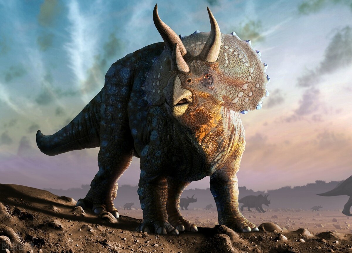 三角龙的令人惊诧的生活习性，导致其完整化石难以发现