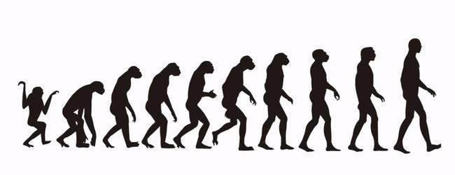猿类的进化之谜(猿类进化成人类的原因是什么)