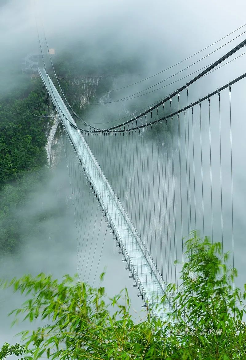 重磅！广东峡天下天云渡玻璃桥正式营业，竟然免费向游客开放