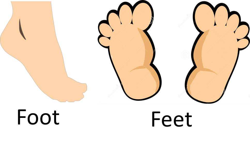 feet是什么单位 feet是什么单位的缩写