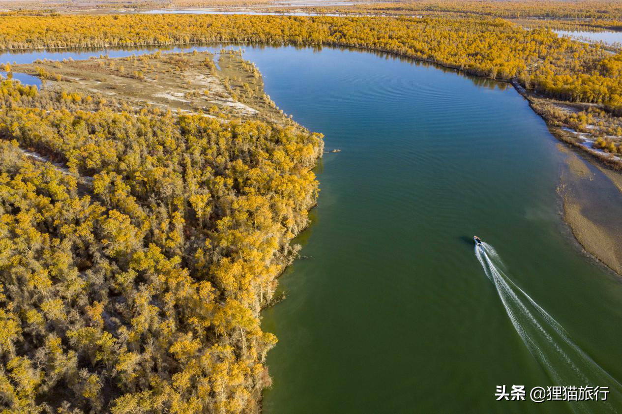 新疆沙雅县有30万人，是产棉大县，还有塔里木河胡杨林保护区