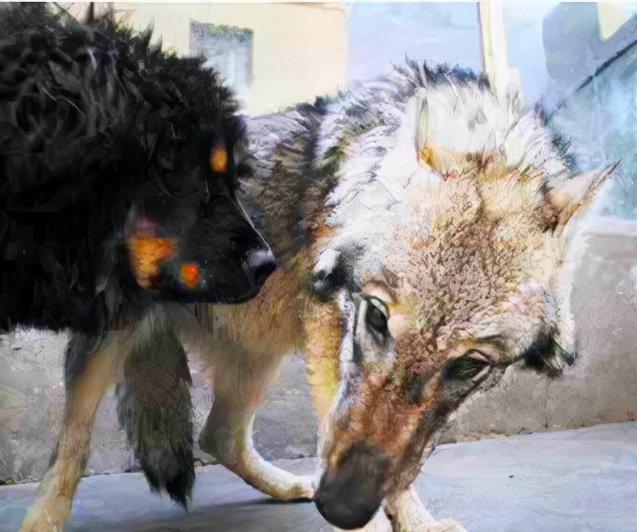 藏獒和狼谁厉害，一獒能战五狼是真的吗？