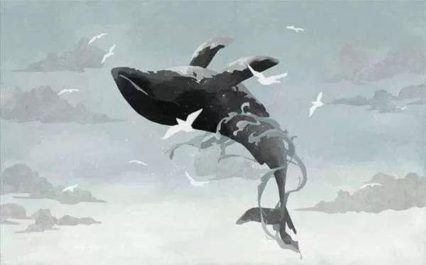 一鲸落，万物生
