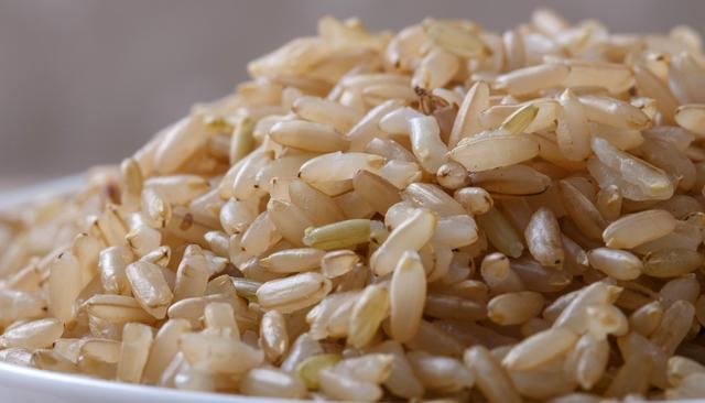 糙米5种最好吃的做法，简单美味又馋人，看看你喜欢吃哪种？