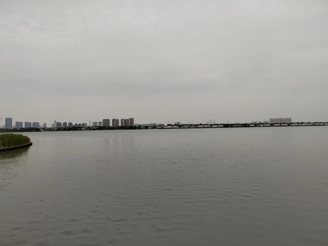 阳澄湖，一个由于人间美味大闸蟹，而闻名的淡水湖