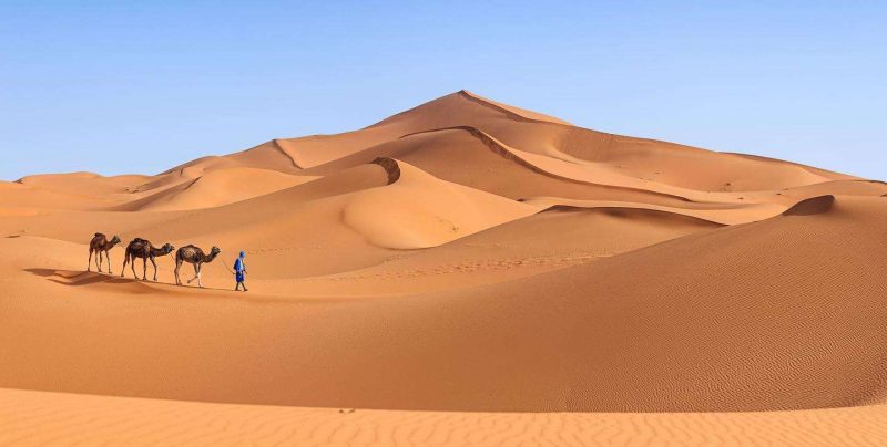 世界最大的沙漠是哪个