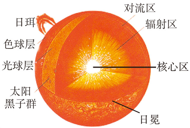太阳外部结构从内向外(太阳的外部结构分别是什么)