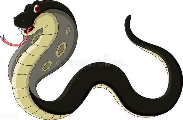 眼镜蛇的毒性那么强，为什么不是百蛇之王？