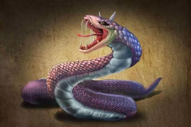 眼镜蛇的毒性那么强，为什么不是百蛇之王？