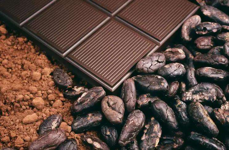 最早的巧克力来自哪里?