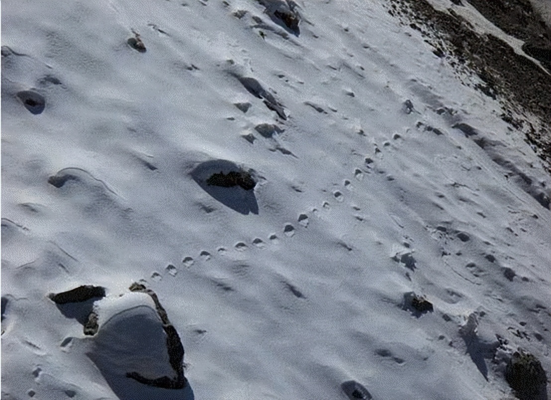 6700米山顶惊现冰冻少女，历经500年容颜未变，怪异死相揭露身份