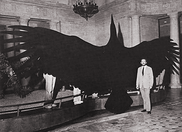 世界上最大的鹰是什么，（身高超过2米）双翼展开的长度为5至7米