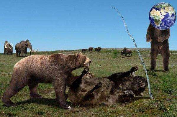 最大的熊是什么熊 世界上生活过最大的熊