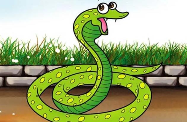 在野外遇到毒蛇应该怎么办？
