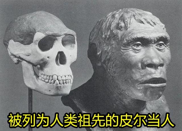 历史上著名的考古造假，让日本旧石器时代提前到70万年前