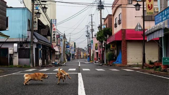 日本男人退休后被当垃圾扫地出门（退休男人被称为粗大垃圾）