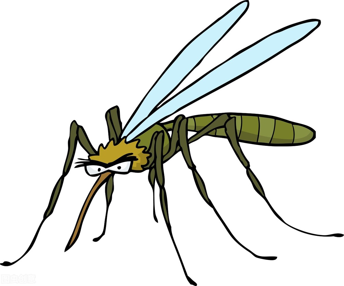 全球有多少种蚊子（蚊子有怎么的习性）