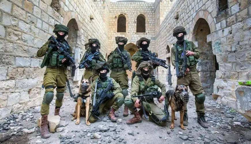 以色列军服为什么不是迷彩服（有什么原因）