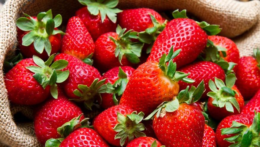 草莓是什么季节的水果（草莓什么季节上市）