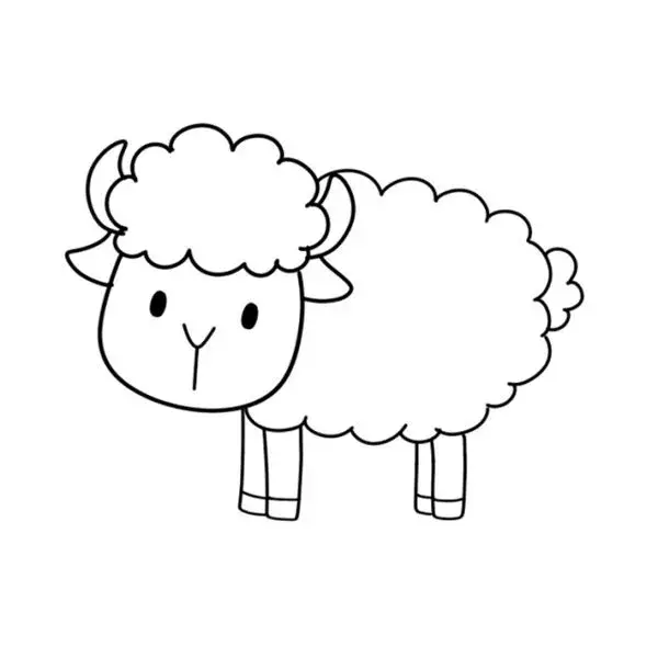小羊怎么画简单又漂亮（小羊简笔画）