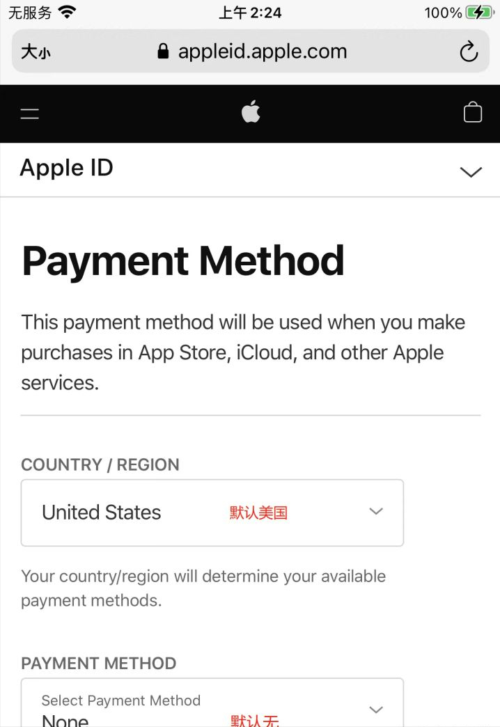 苹果id电子邮件怎么填（如何注册个人美国区Apple ID）