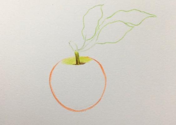 苹果怎么画（苹果的简笔画）