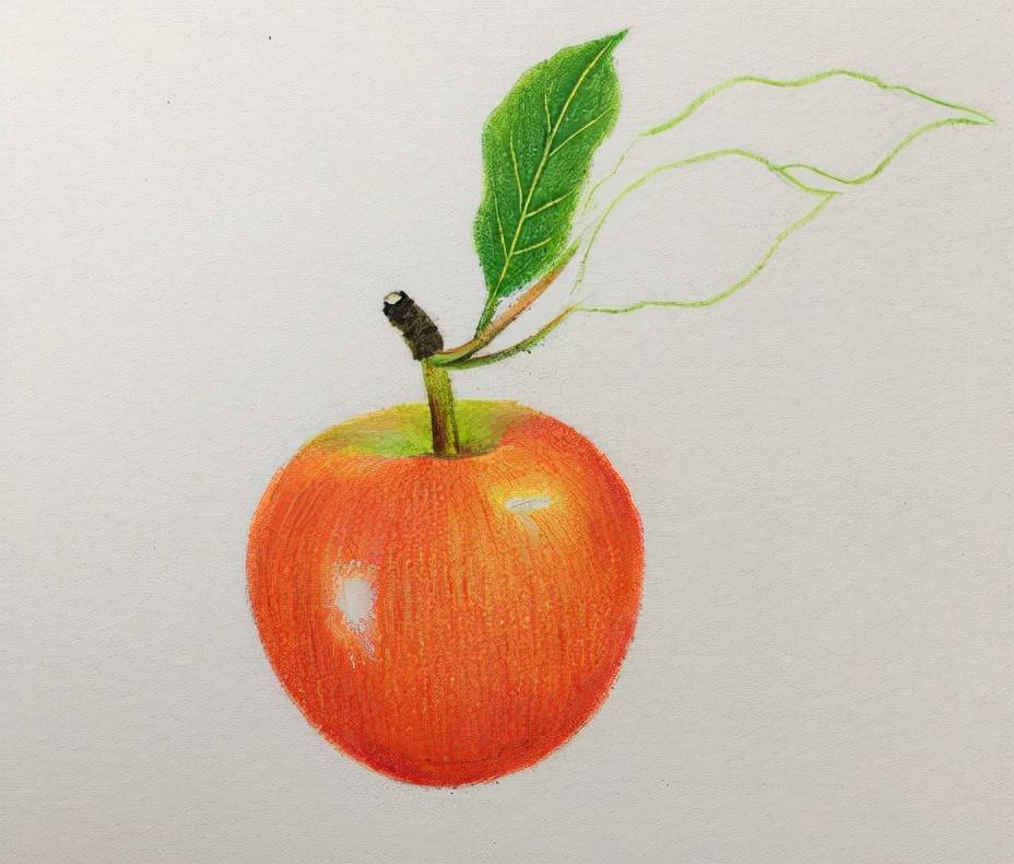 苹果怎么画（苹果的简笔画）