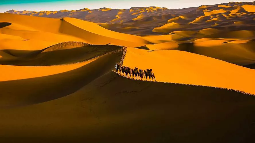 沙漠为什么容易迷路（沙漠迷路走不出去的原因）