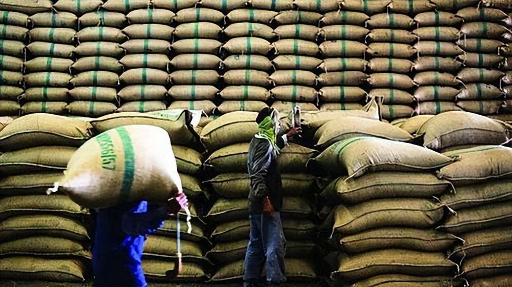 印度最新大米禁令会影响中国吗？将引发全球粮价的进一步上涨