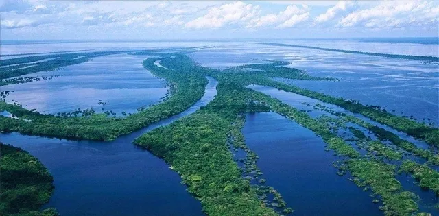 亚马逊河被称为人类禁区的原因，亚马逊河有多可怕