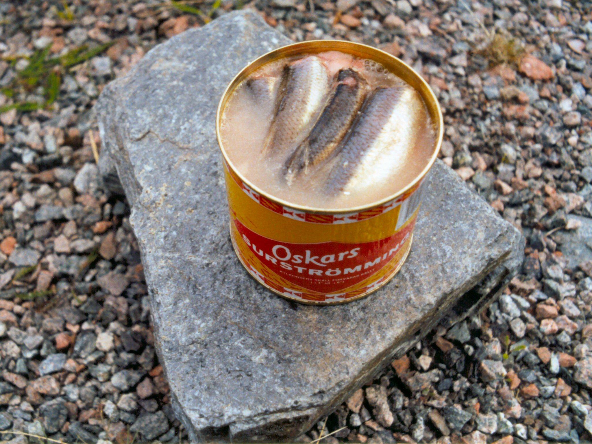 鲱鱼罐头有多臭（鲱鱼罐头是什么味道）