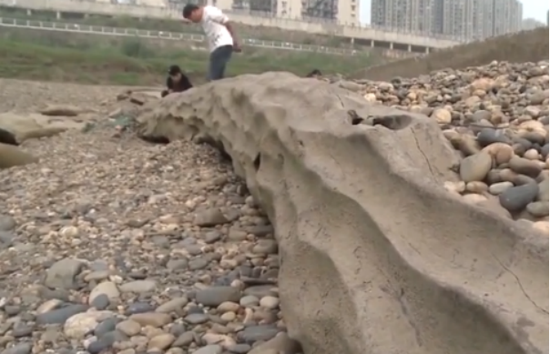 重庆嘉陵江现巨大阴沉木 有盗割痕迹，阴沉木是如何形成的