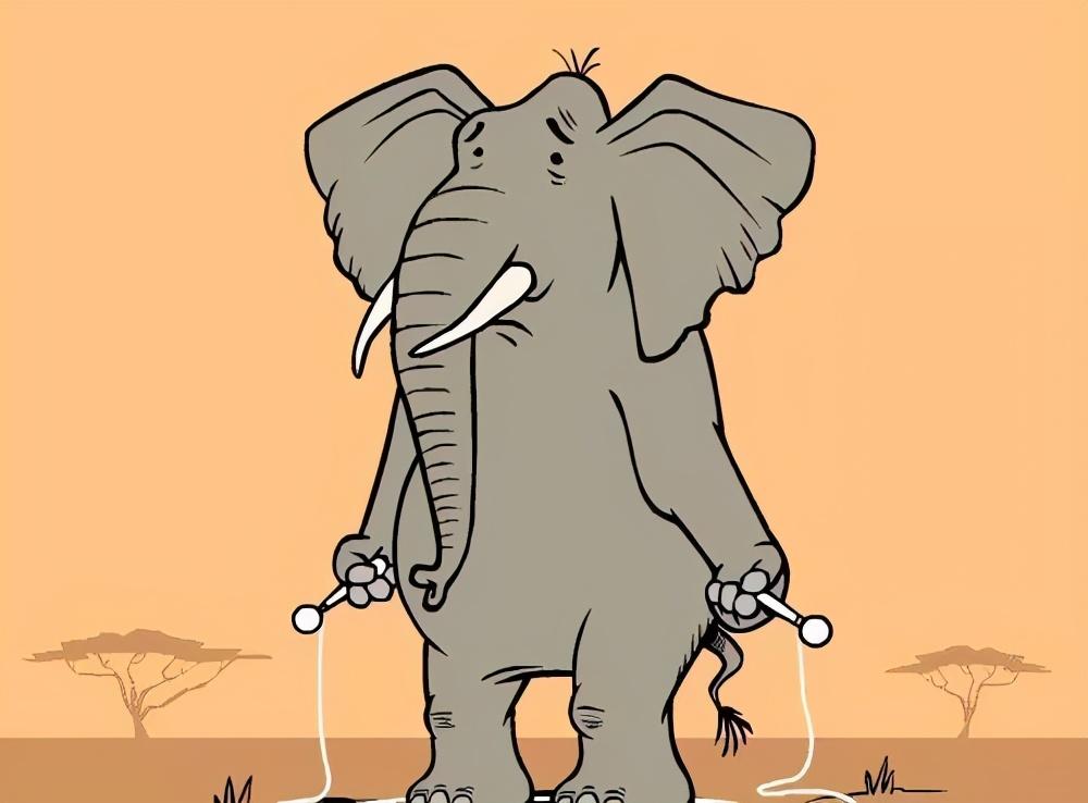 大象有多重（一头成年大象的重量）