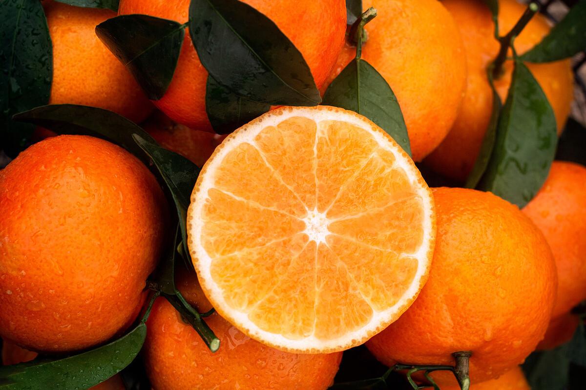 沃柑是橘子还是橙子