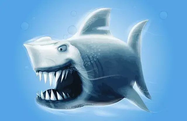 鲨鱼的种类有多少种 鲨鱼的种类有哪些