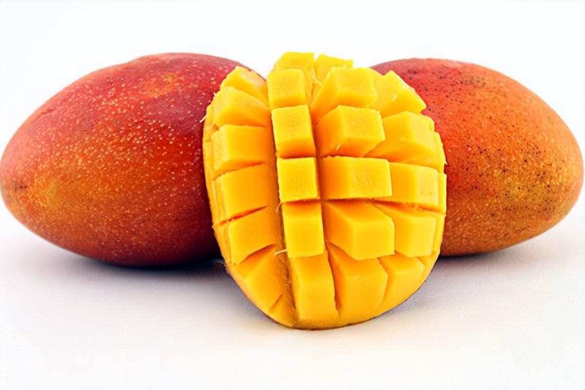 芒果成熟季节是几月份（芒果一般几月份成熟）